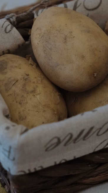 Esponja Multiuso (3 unid.)